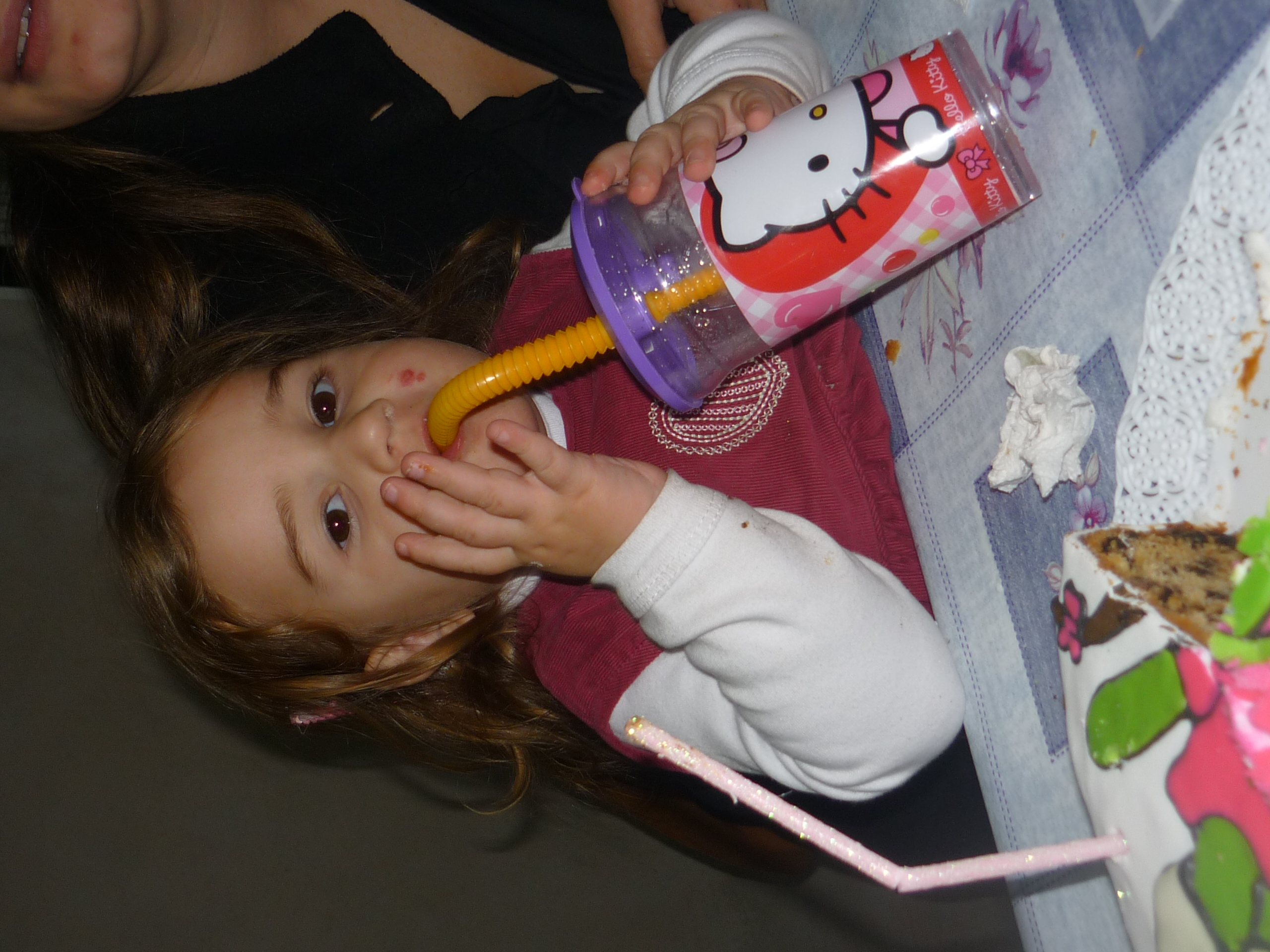 fotos/2012-06-11 - Cumple Nestor Iara/P1020759.JPG